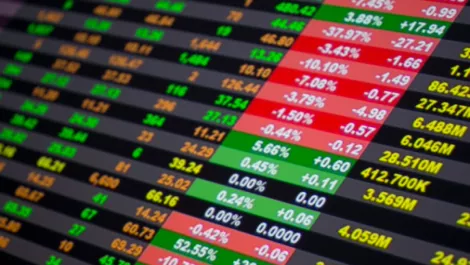 IT issue halts NZX trading