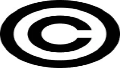 NZ's copyright law changed