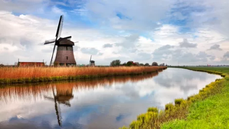 Alcatel goes Dutch with ANZ VP hire