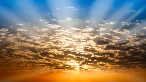 CommVault fuels cloud growth with revamped partner program
