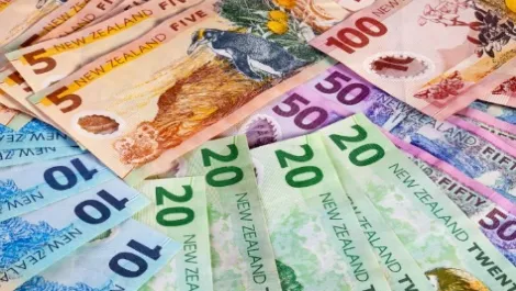 Tiro Lifesciences receives first Kiwi repayable grant
