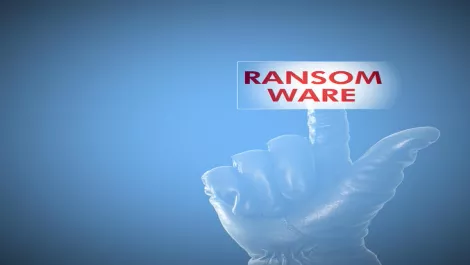 C-Suite execs wouldn't pay ransom attacks, survey finds