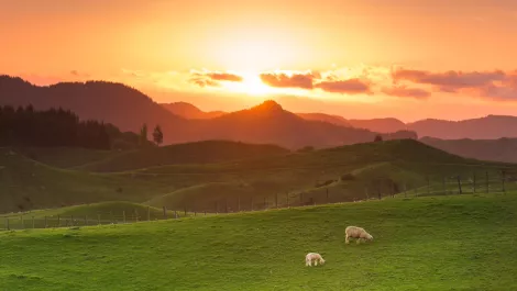 Spark supports next phase of Rural Broadband Initiative for Kiwis