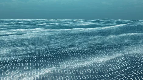 Big data: How companies can learn to swim in the data lake