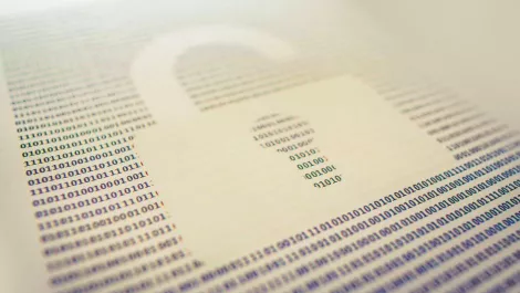 Are UK councils prioritising data collection over security?