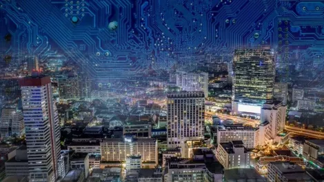 Self-monitoring trash cans & smart dairy herds: Spark rolls out IoT network