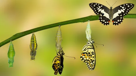 Digital transformation culture shock: Why a hybrid approach keeps your employees happy