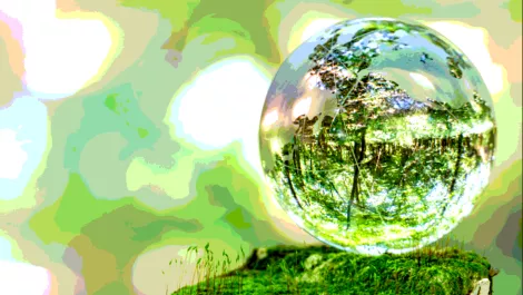 VMware achieves carbon neutrality two years early