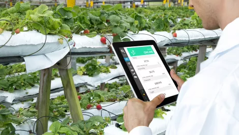 AU study looks at agritech challenges ahead