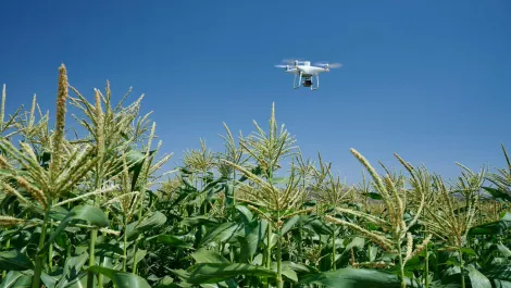 DJI launches precision drone for agriculture