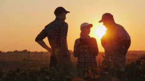 PaySauce and Xero form strategic alliance in the name of Kiwi farmers