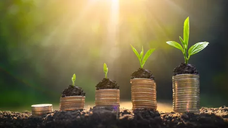 Xero revamps Starter plan to support businesses during COVID-19 crisis
