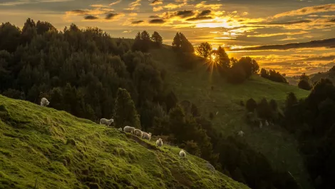 Autogrow spins out new digital farming company WayBeyond