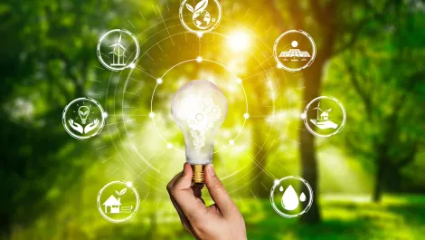 Partnership to develop platform for New Zealand agritech AI research