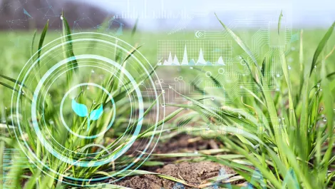 NZ Govt backs new data-driven forecasting tool for agriculture sector
