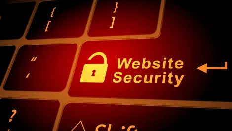 WordPress vulnerabilities more than doubled in 2021