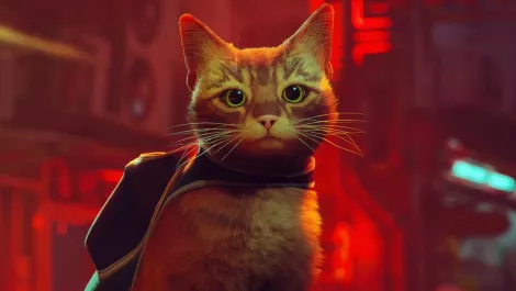 Game review: Stray (PlayStation 5)