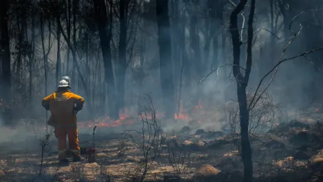 FRNSW selects Vertel to improve first responder training