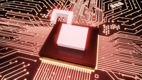 Varonis Systems launches new program through HackerOne