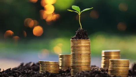 Temenos reaches record high transactions for Banking-as-a-Service